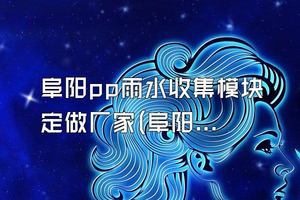 阜阳pp雨水收集模块定做厂家(阜阳地区pp雨水收集模块的定做厂家)
