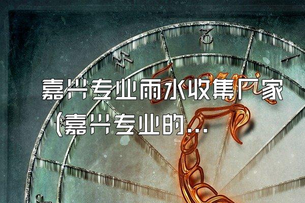 嘉兴专业雨水收集厂家 (嘉兴专业的雨水收集厂家)