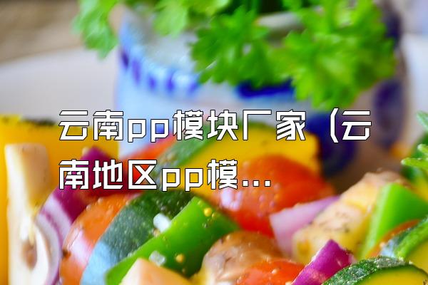云南pp模块厂家 (云南地区pp模块的厂家)