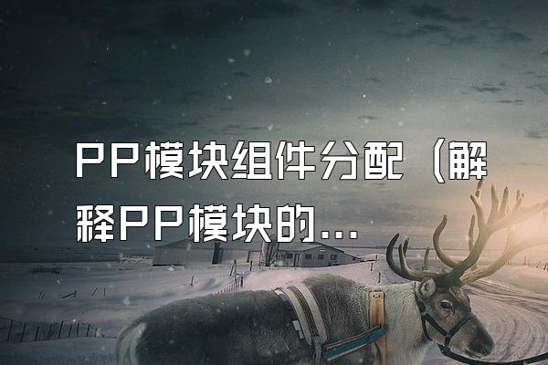 PP模块组件分配 (解释PP模块的组件分配)