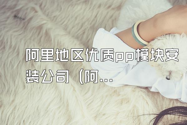 阿里地区优质pp模块安装公司 (阿里地区优质的pp模块安装公司)