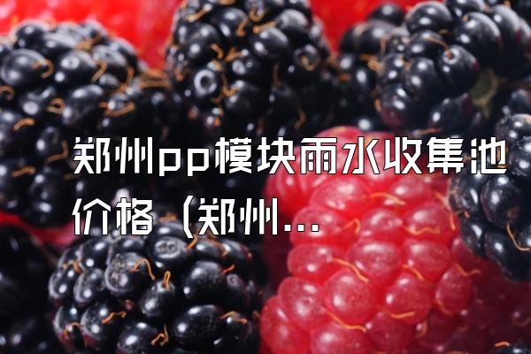 郑州pp模块雨水收集池价格 (郑州地区pp模块雨水收集池的价格)