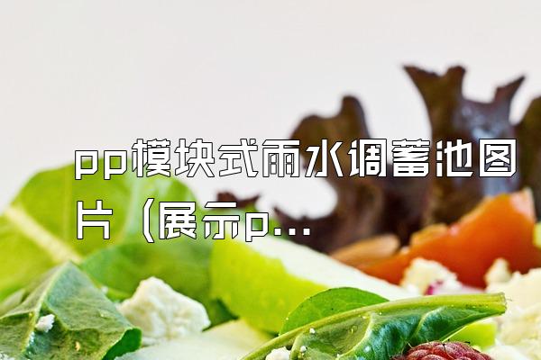 pp模块式雨水调蓄池图片 (展示pp模块式雨水调蓄池的图片)