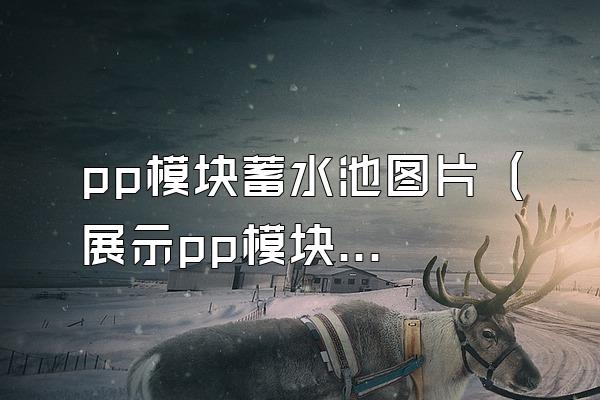 pp模块蓄水池图片 (展示pp模块蓄水池的图片)