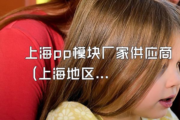 上海pp模块厂家供应商 (上海地区pp模块的厂家供应商)