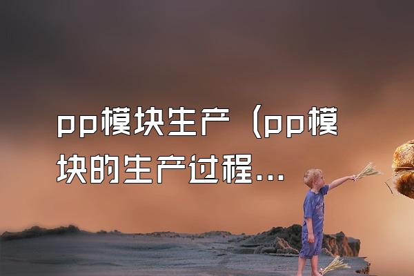 pp模块生产 (pp模块的生产过程和流程)