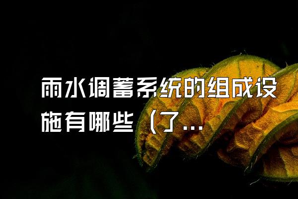 雨水调蓄系统的组成设施有哪些 (了解雨水调蓄系统的组成设施)
