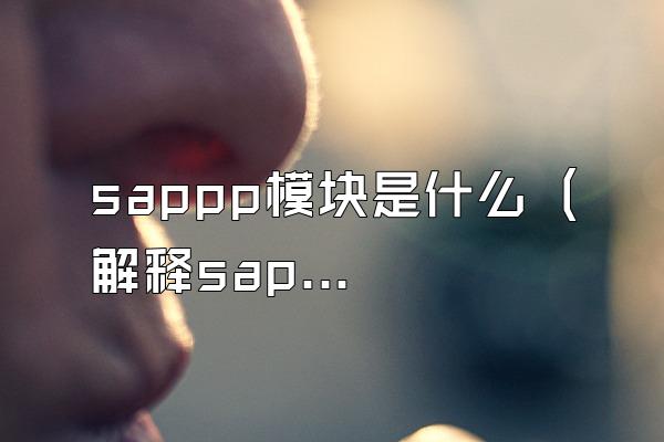 sappp模块是什么 (解释sappp模块在SAP中的含义)